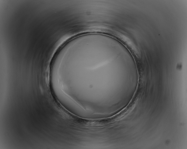 X0000102841275200809021328