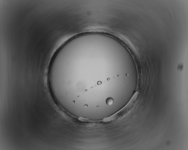 X0000102841277200809021328