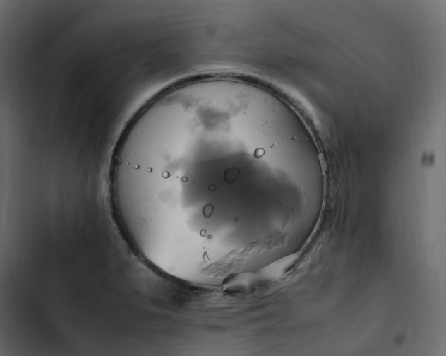 X0000102841279200809021328