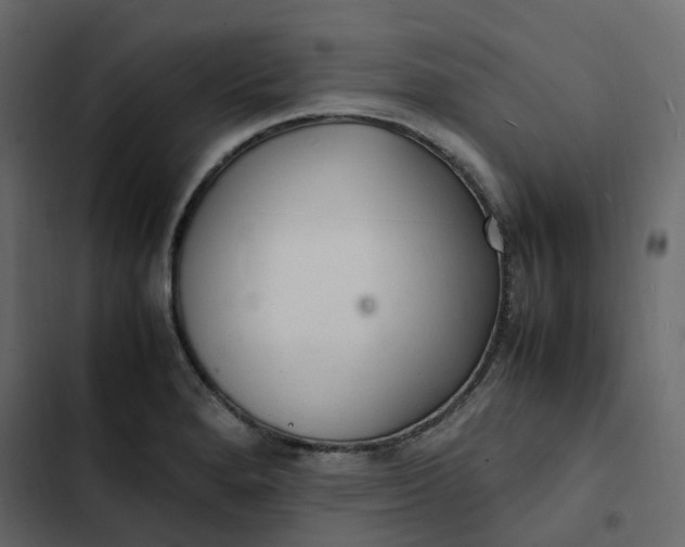 X0000102841280200809021328