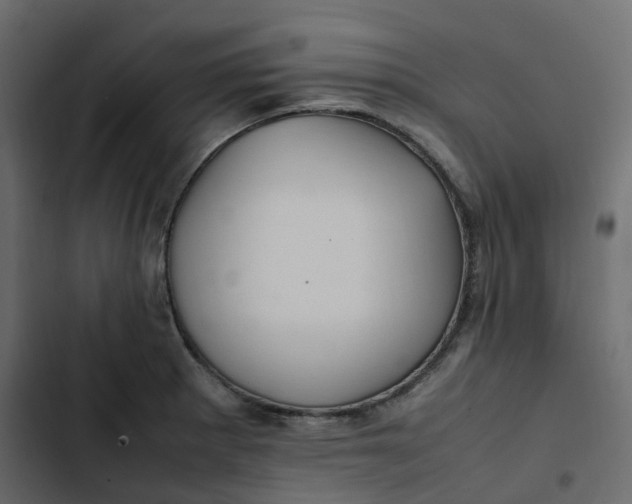 X0000102841281200809021328