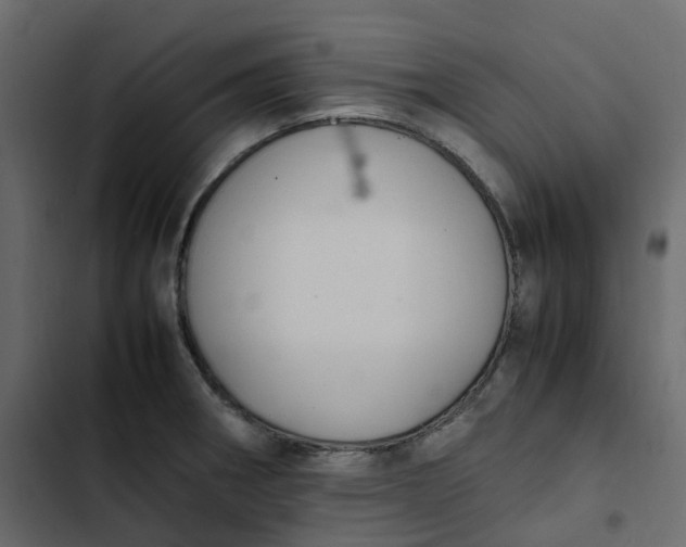 X0000102841282200809021328