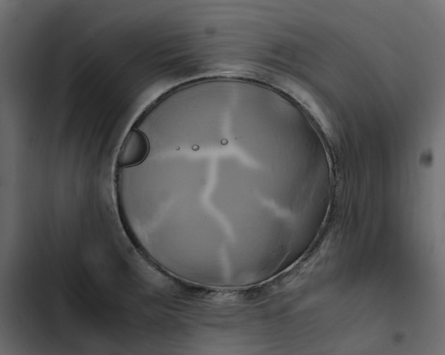 X0000102841283200809021328