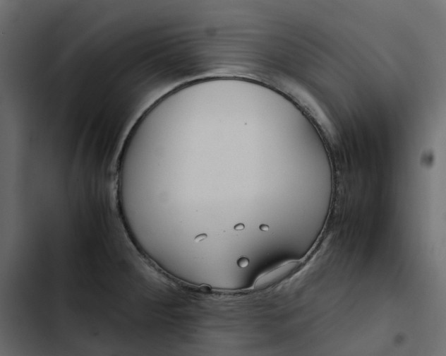 X0000102841284200809021328