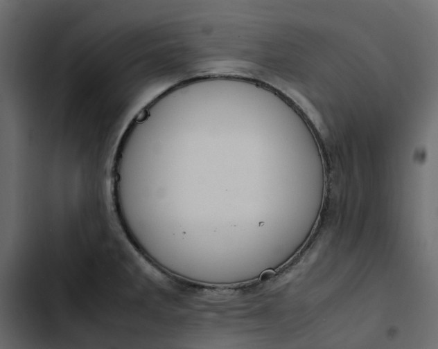 X0000102841285200809021328