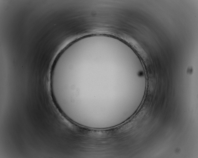 X0000102841286200809021328