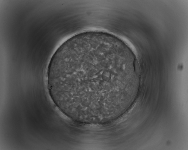 X0000102841287200809021328