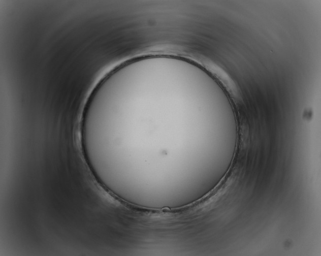 X0000102841288200809021328