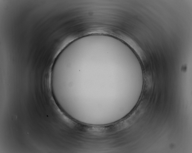 X0000102841290200809021328