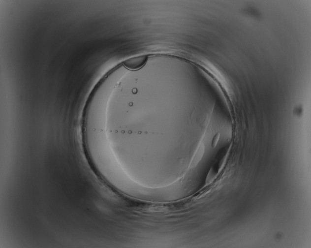 X0000102841291200809021328