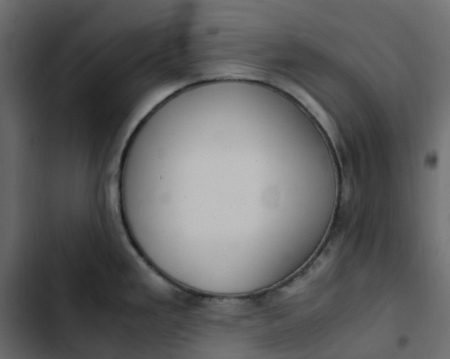 X0000102841293200809021327