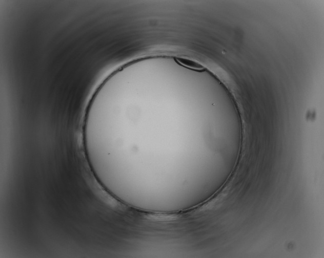 X0000102841296200809021327