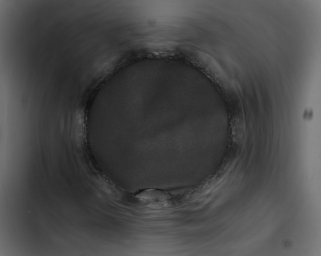 X0000102841298200809021327