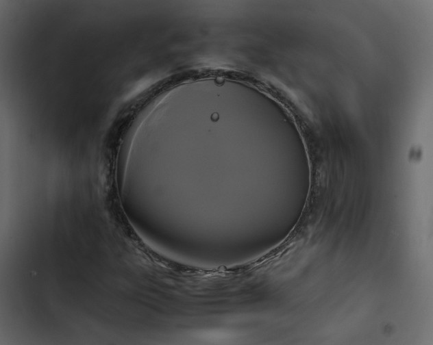 X0000102841303200809021327