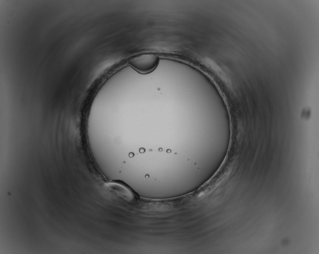 X0000102841307200809021327