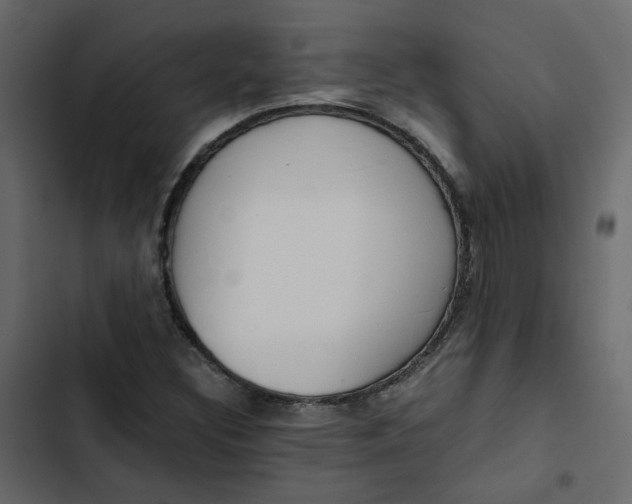 X0000102841308200809021327