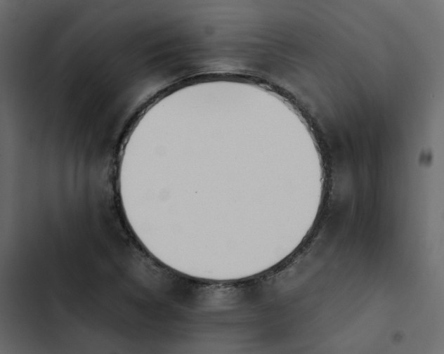 X0000102841314200809021327