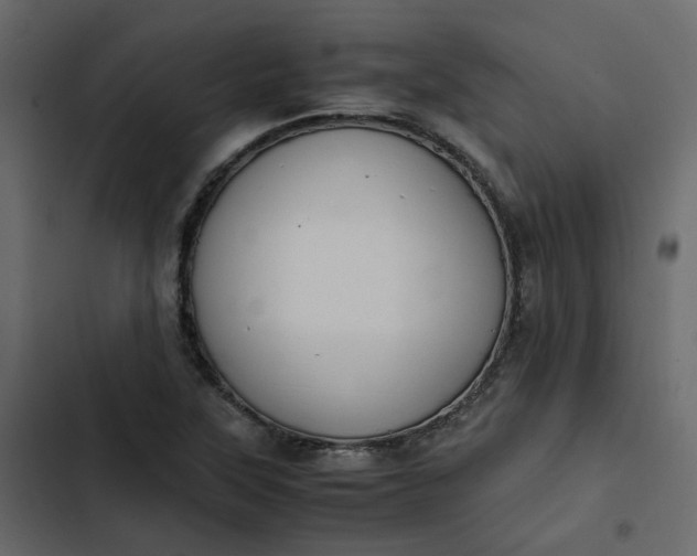 X0000102841315200809021327