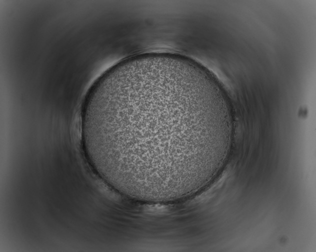 X0000102841317200809021327