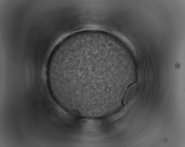 X0000102841318200809021327