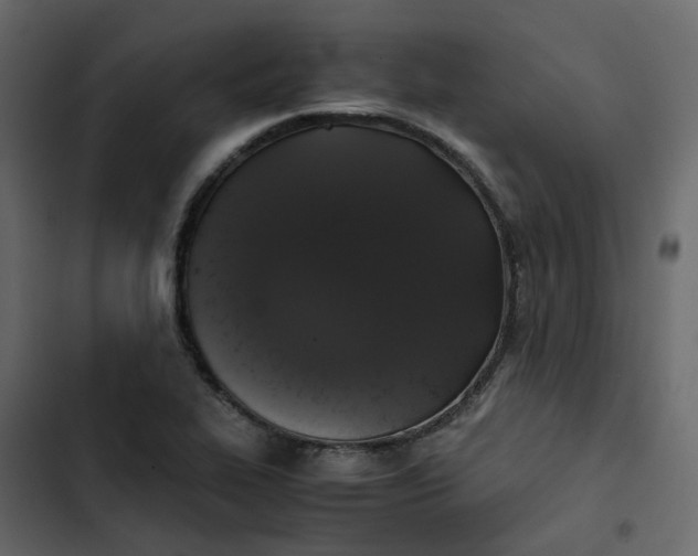 X0000102841319200809021327