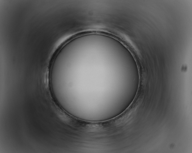 X0000102841320200809021327