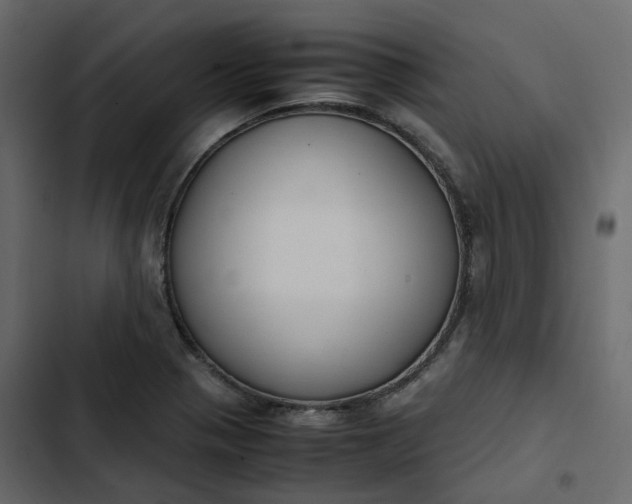 X0000102841321200809021327