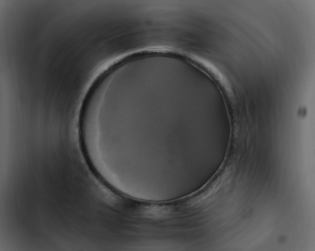 X0000102841327200809021327