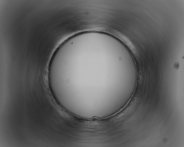 X0000102841332200809021327