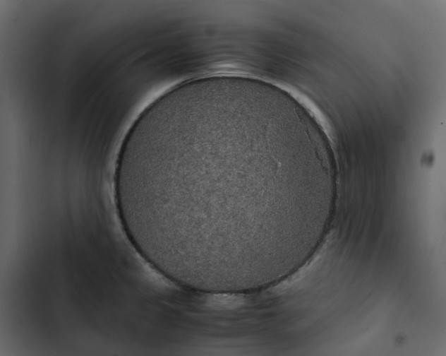 X0000102841333200809021327