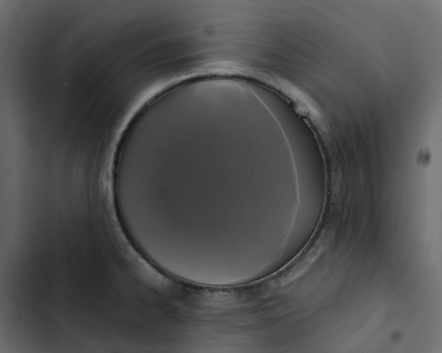 X0000102841334200809021327