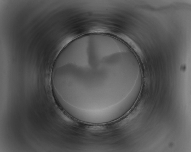 X0000102841337200809021327