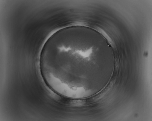 X0000102841339200809021327