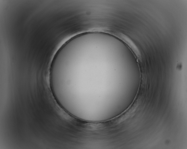 X0000102841340200809021327