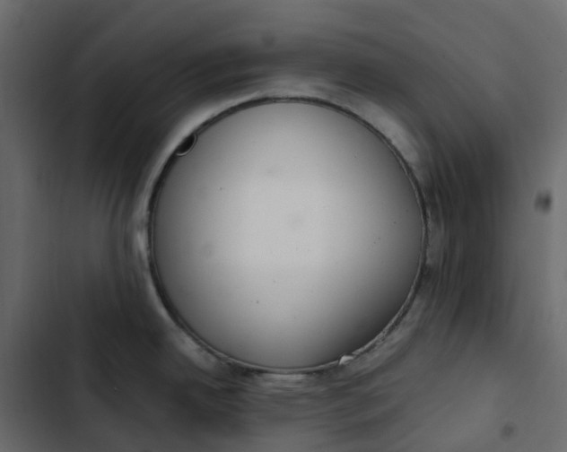 X0000102841342200809021327