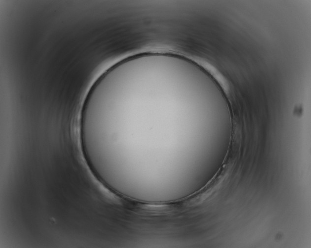 X0000102841343200809021327