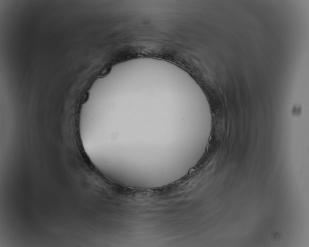 X0000102841345200809021327