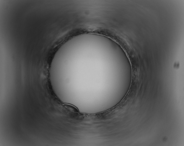 X0000102841349200809021327