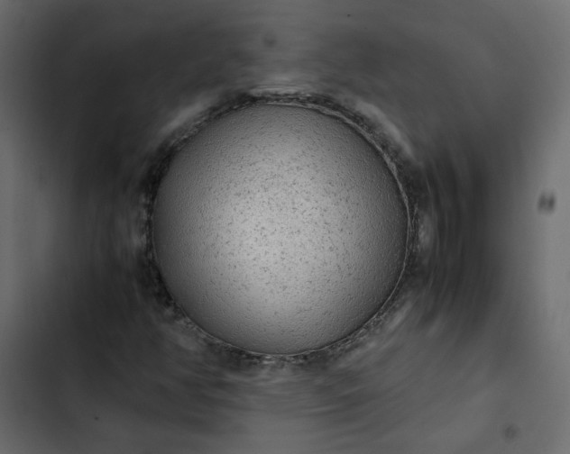 X0000102841350200809021327