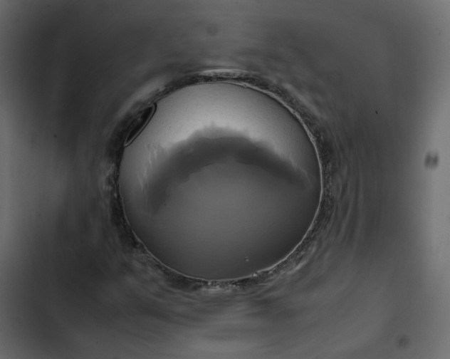 X0000102841351200809021327