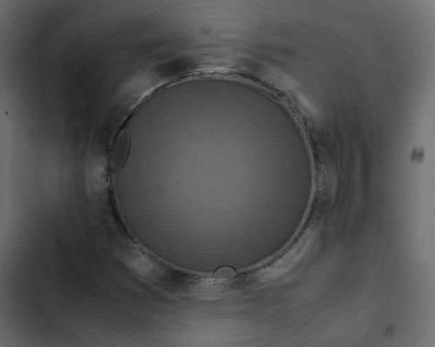 X0000102841353200809021326