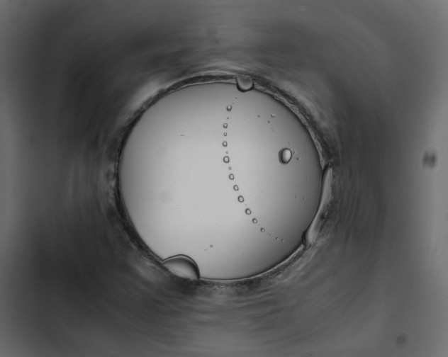 X0000102841355200809021326