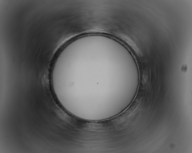 X0000102841356200809021326