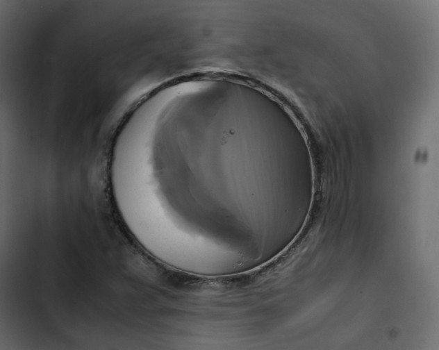 X0000102841359200809021326