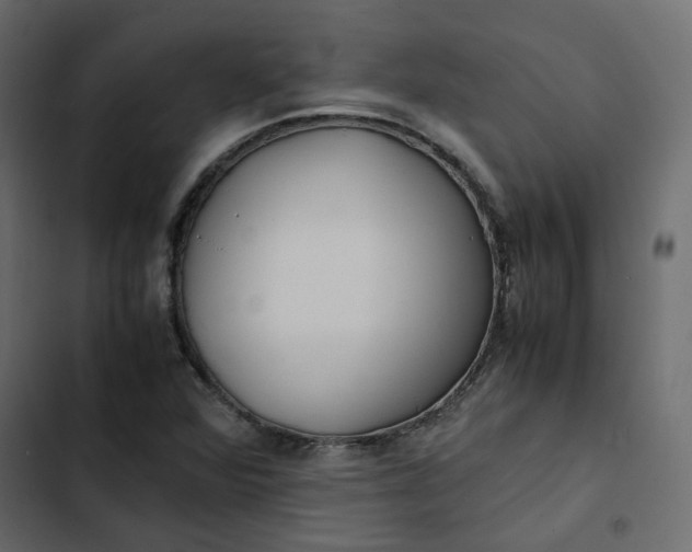 X0000102841360200809021326