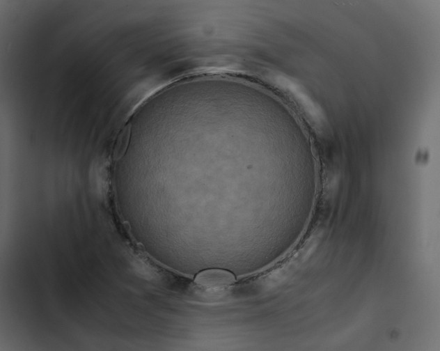 X0000102841361200809021326