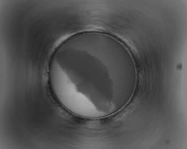 X0000102841363200809021326