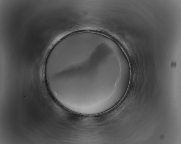 X0000102841367200809021326