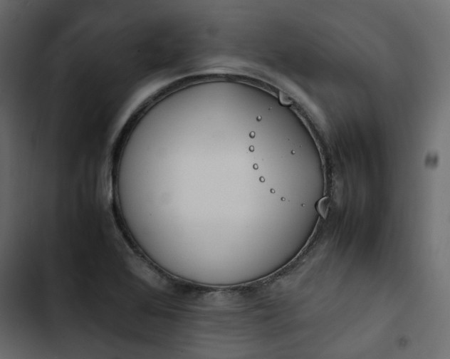 X0000102841368200809021326