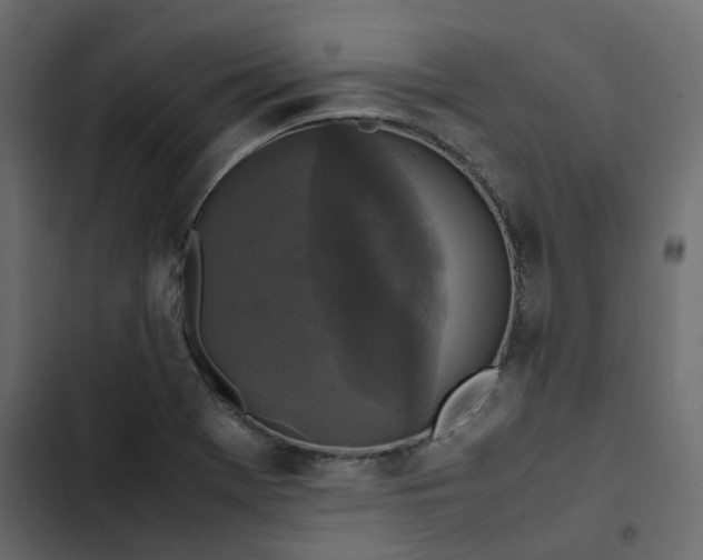 X0000102841369200809021326